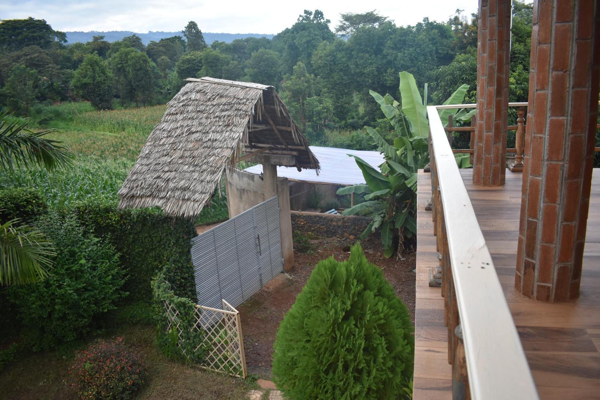 Kilimanjaro Accommodation Msaranga Esterno foto