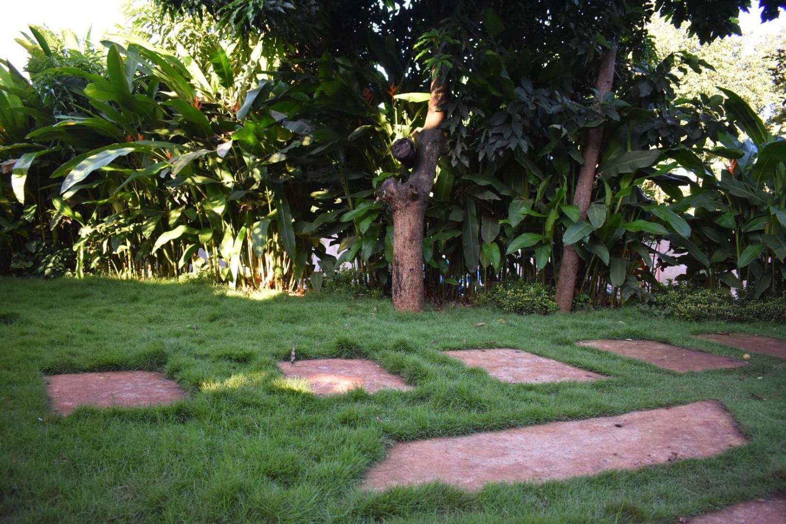 Kilimanjaro Accommodation Msaranga Esterno foto